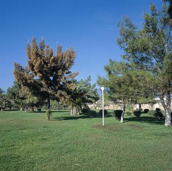Nafsika Beach Delphi-Itea Exterior foto