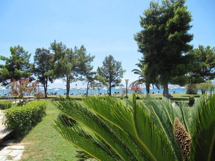 Nafsika Beach Delphi-Itea Exterior foto